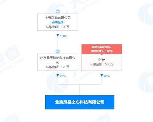 字節(jié)跳動關聯(lián)公司布局基礎軟件服務領域，戰(zhàn)略投資彰顯科技生態(tài)新動向